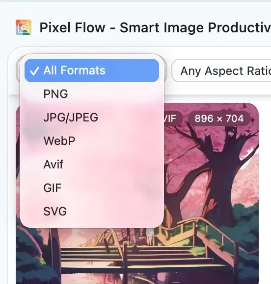 Pixel Flow capture feed format filter menu listing detected image formats from the current page
