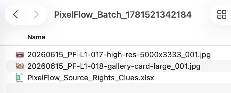Downloaded files named according to a Pixel Flow filename rule