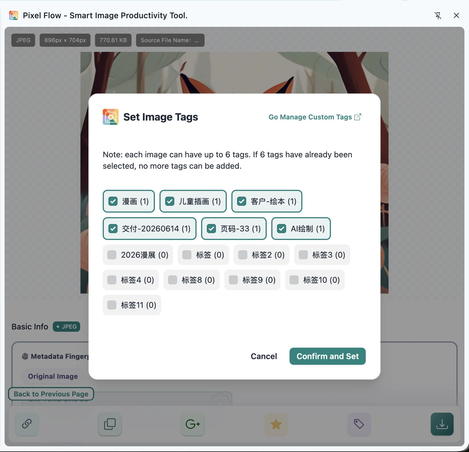 Pixel Flow showing one image with the maximum of 6 tags selected